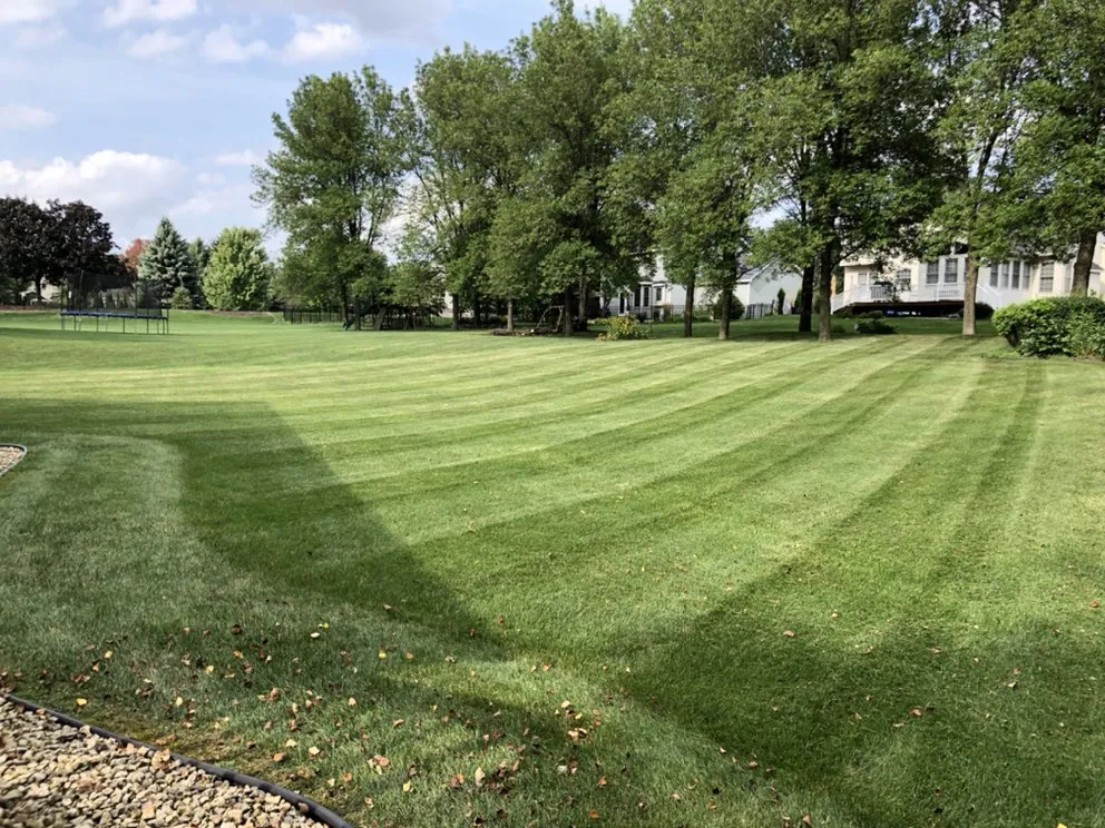 Local lawn mowing service for homes across Minneapolis, MN - Driftwood Property Services