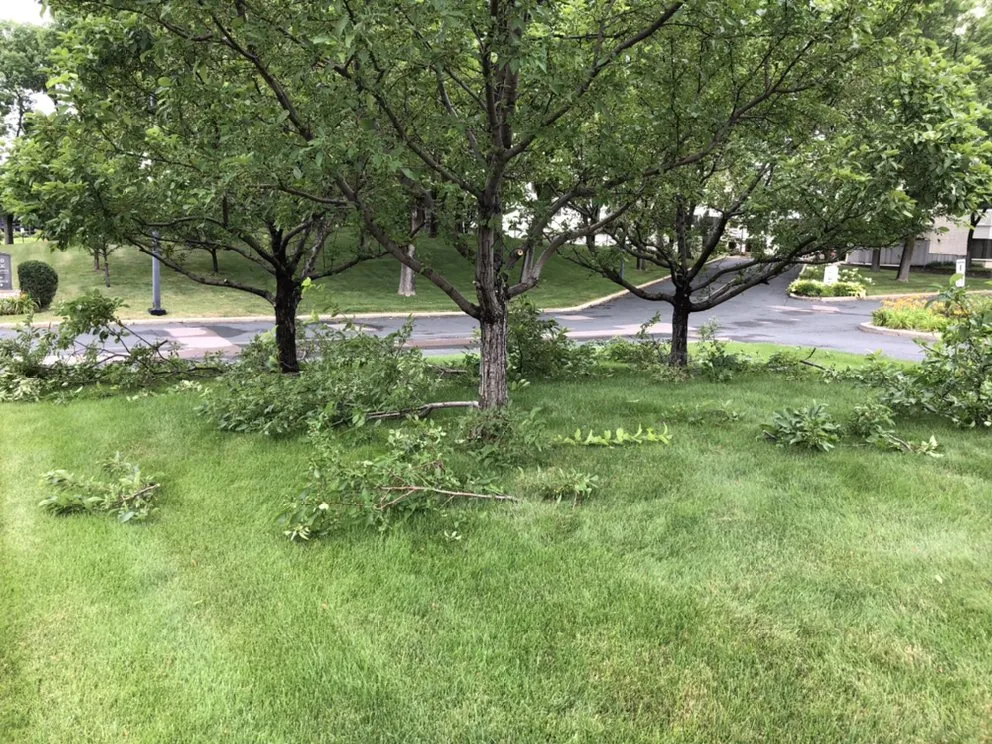 Affordable lawn care service for residential properties in Minneapolis, MN by Driftwood Property Services