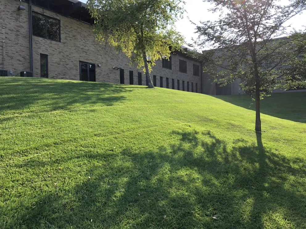 Top-rated residential landscaping in Minneapolis, MN by Driftwood Property Services