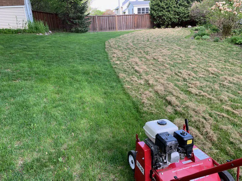 Local lawn mowing service in Minneapolis, MN - Driftwood Property Services