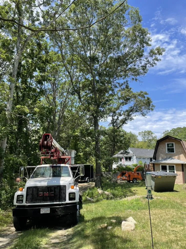 Custom lawn mowing service in Vineyard Haven, MA - Driftwood Tree & Land services
