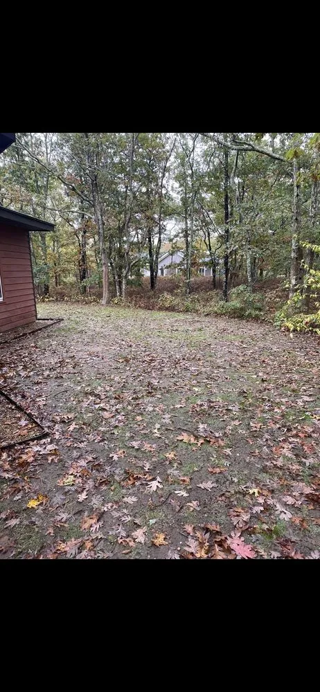 Trusted landscaping services experts serving Vineyard Haven, MA - Driftwood Tree & Land services