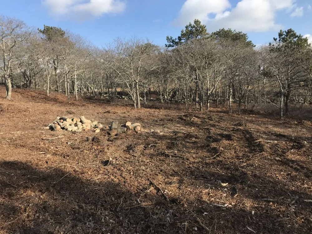 Expert landscaping services experts serving Vineyard Haven, MA - Driftwood Tree & Land services