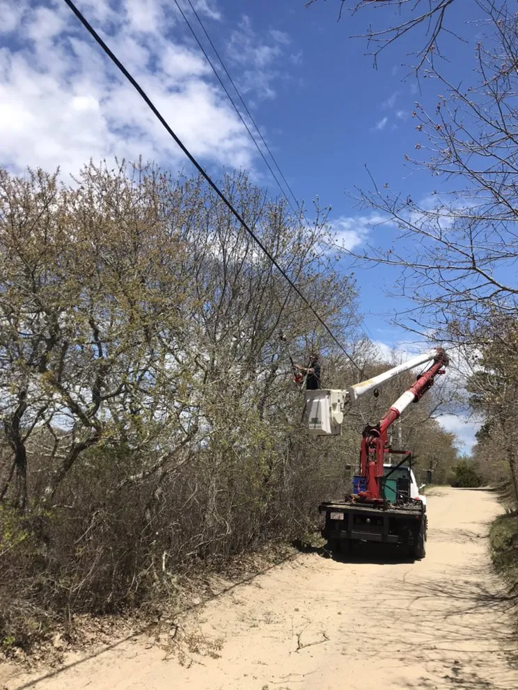 Reliable landscape installation for outdoor upgrades in Vineyard Haven, MA by Driftwood Tree & Land services