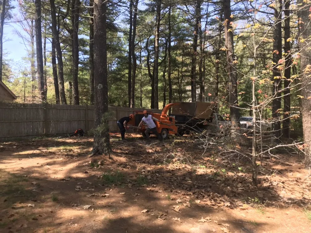 Expert landscape design in Vineyard Haven, MA by Driftwood Tree & Land services