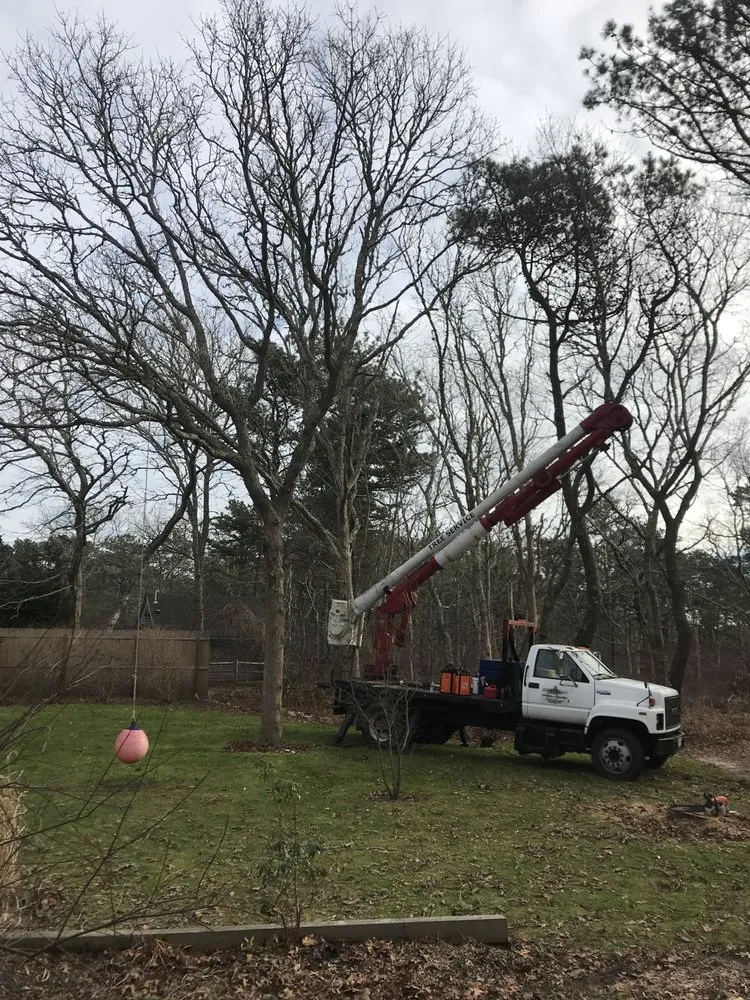 Affordable lawn mowing service in Vineyard Haven, MA by Driftwood Tree & Land services