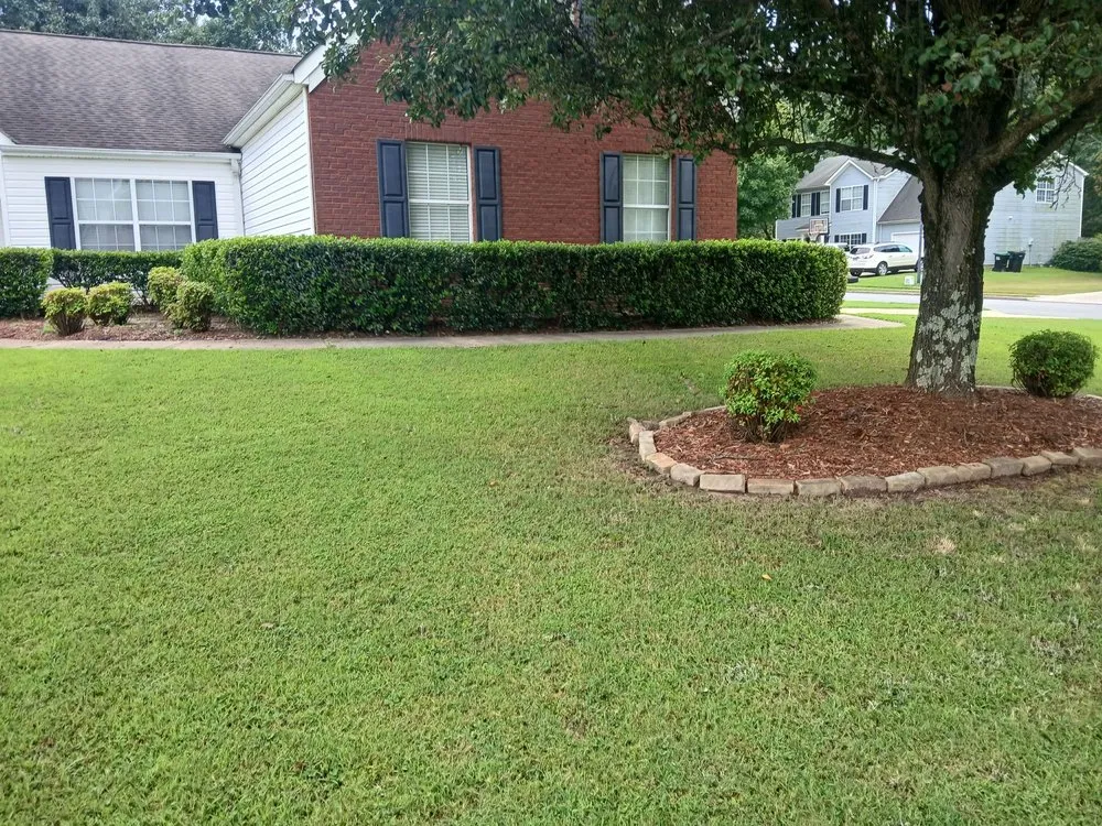 Reliable yard maintenance experts serving Statham, GA - Driggers Tree Surgeons