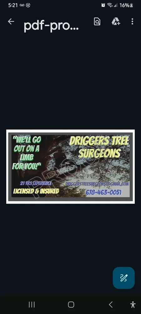 Professional lawn care service for beautiful yards across Statham, GA - Driggers Tree Surgeons