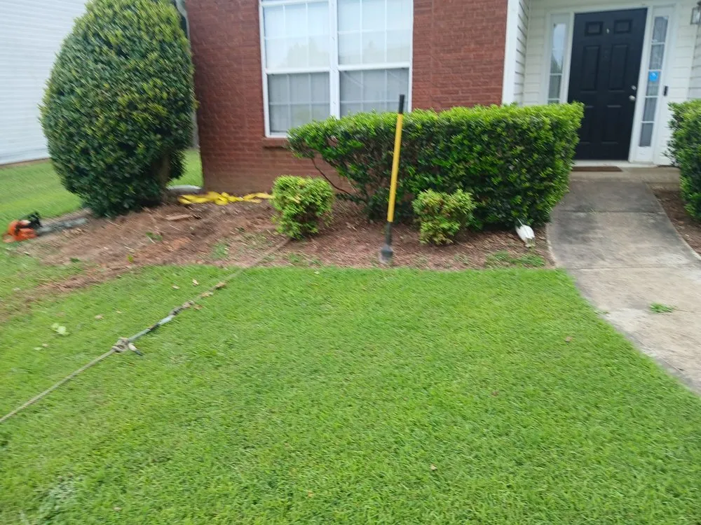 Trusted landscape design for homes in Statham, GA by Driggers Tree Surgeons