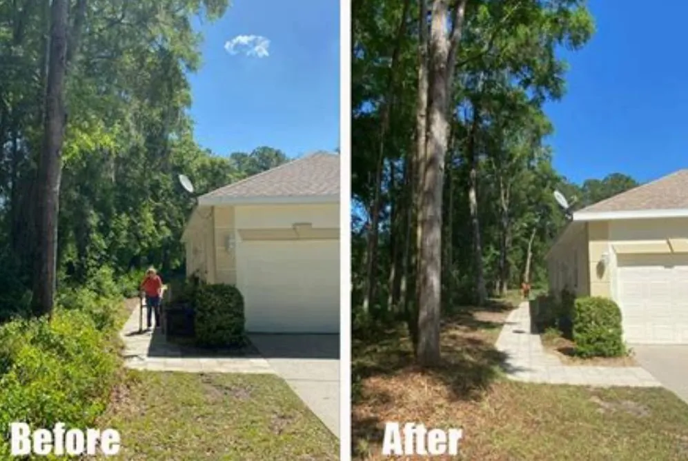 Top-rated residential landscaping for residential properties across Statham, GA - Driggers Tree Surgeons