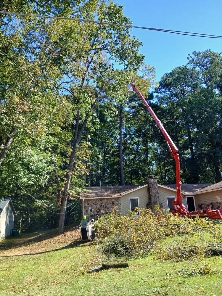 Reliable residential landscaping for beautiful yards in Statham, GA by Driggers Tree Surgeons