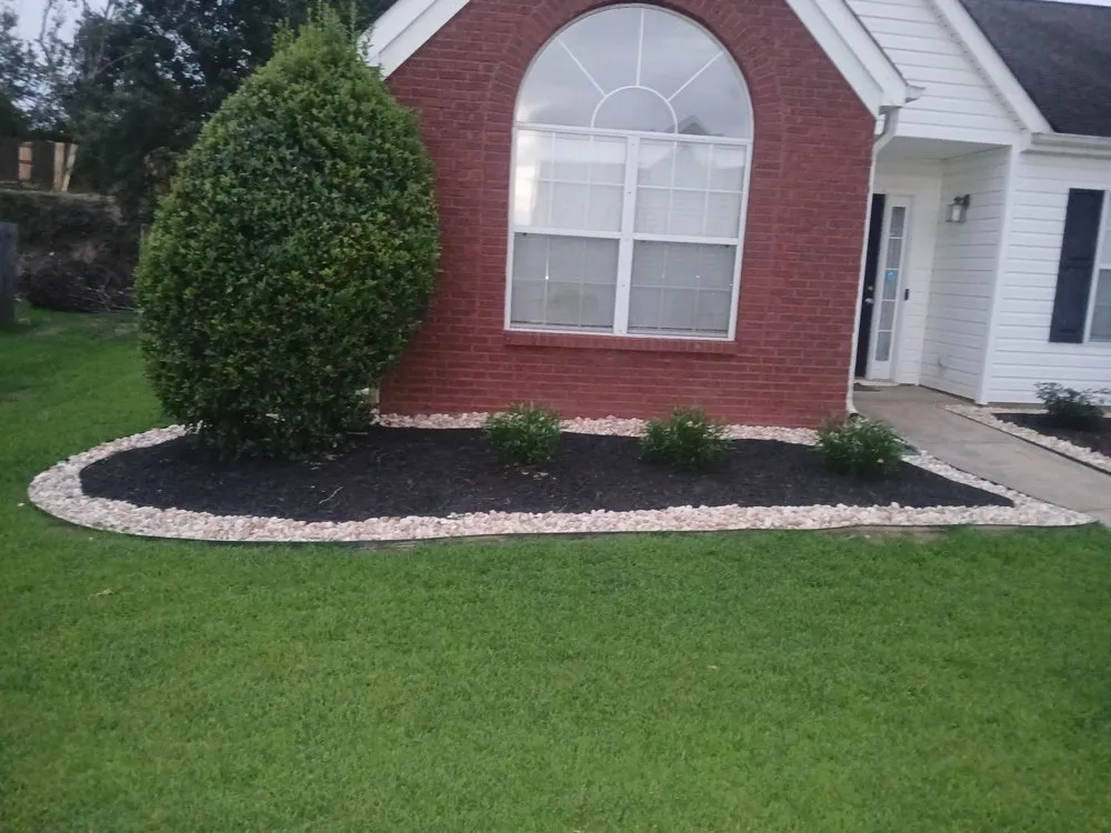 Expert yard cleanup service experts serving Statham, GA - Driggers Tree Surgeons