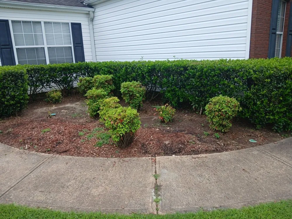 Expert landscape installation in Statham, GA - Driggers Tree Surgeons