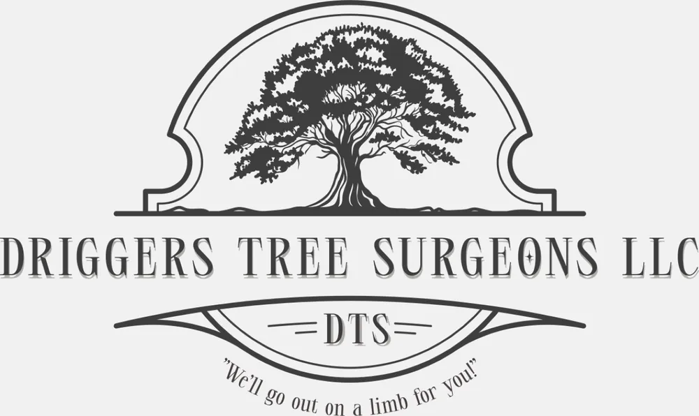 Expert landscape design in Statham, GA - Driggers Tree Surgeons