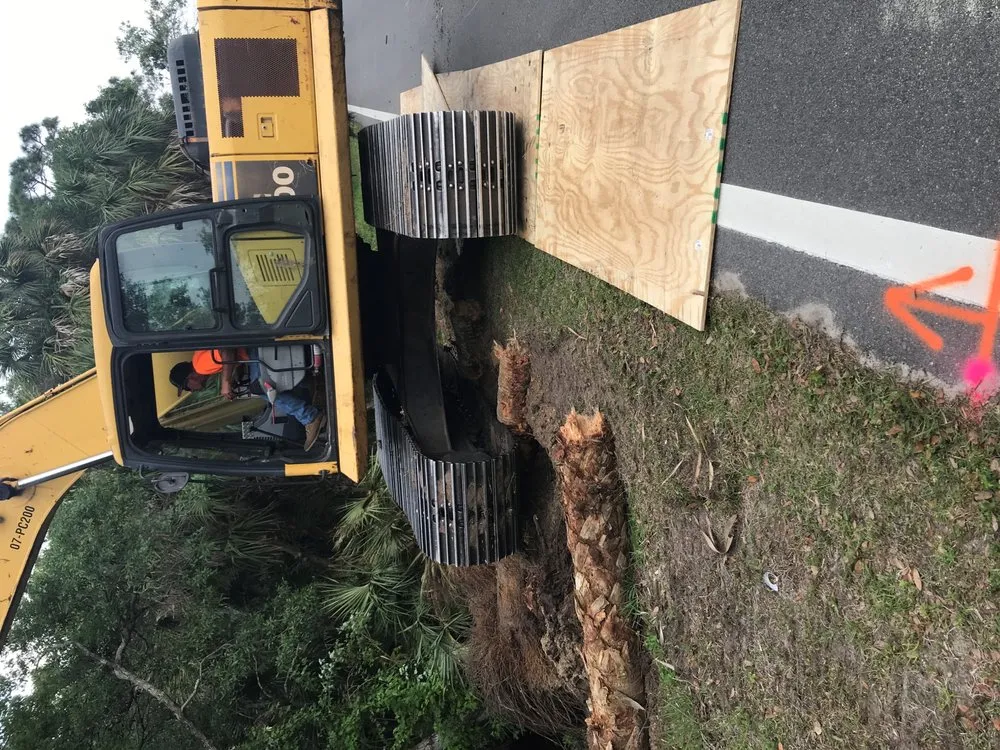 Expert yard cleanup service in Sanford, FL - Drinkwater and Drinkwater