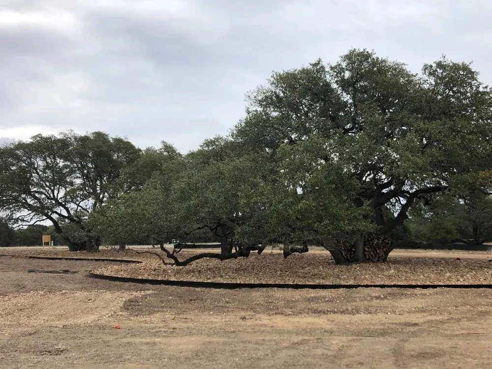 Custom landscape design for year-round maintenance across Dripping Springs, TX - Drip Landscape and Tree Service