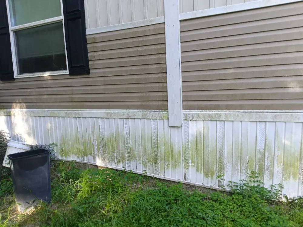 Reliable residential landscaping with custom design across Hernando, FL - Drippen' Clean Pressure washing