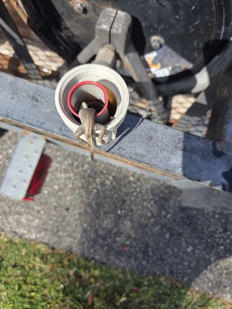 Local yard cleanup service in Hernando, FL by Drippen' Clean Pressure washing