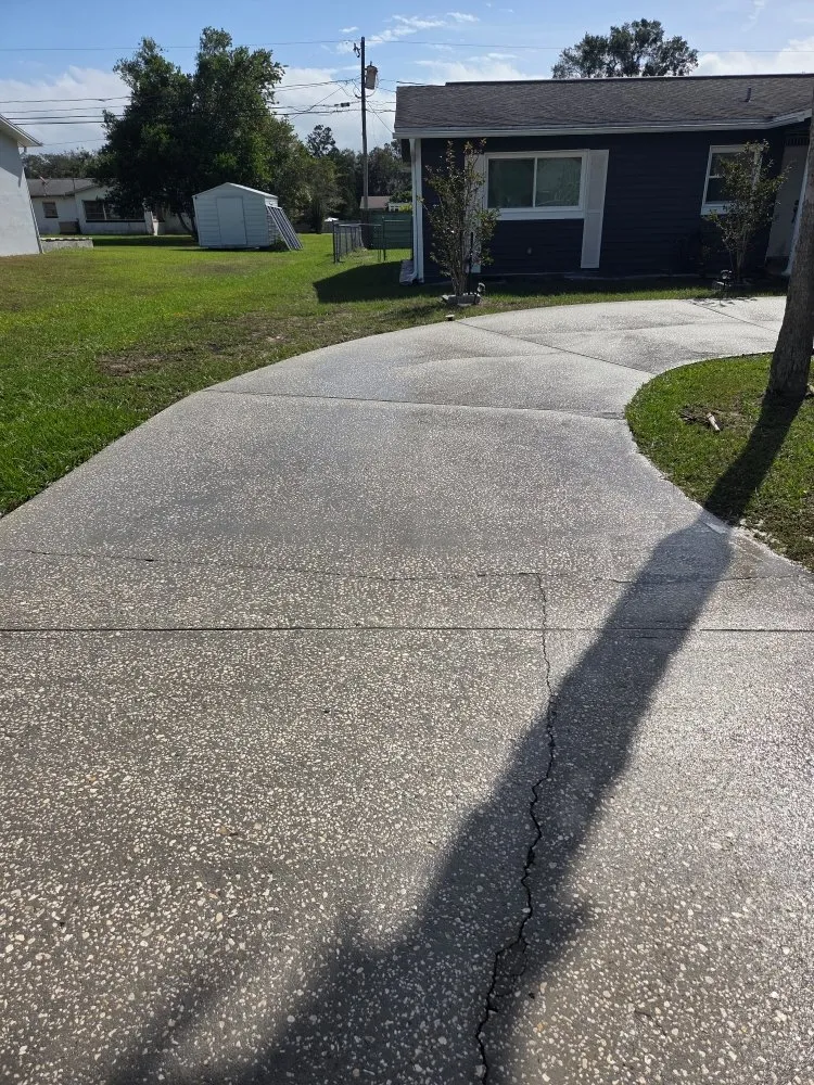 Reliable landscape design experts serving Hernando, FL - Drippen' Clean Pressure washing