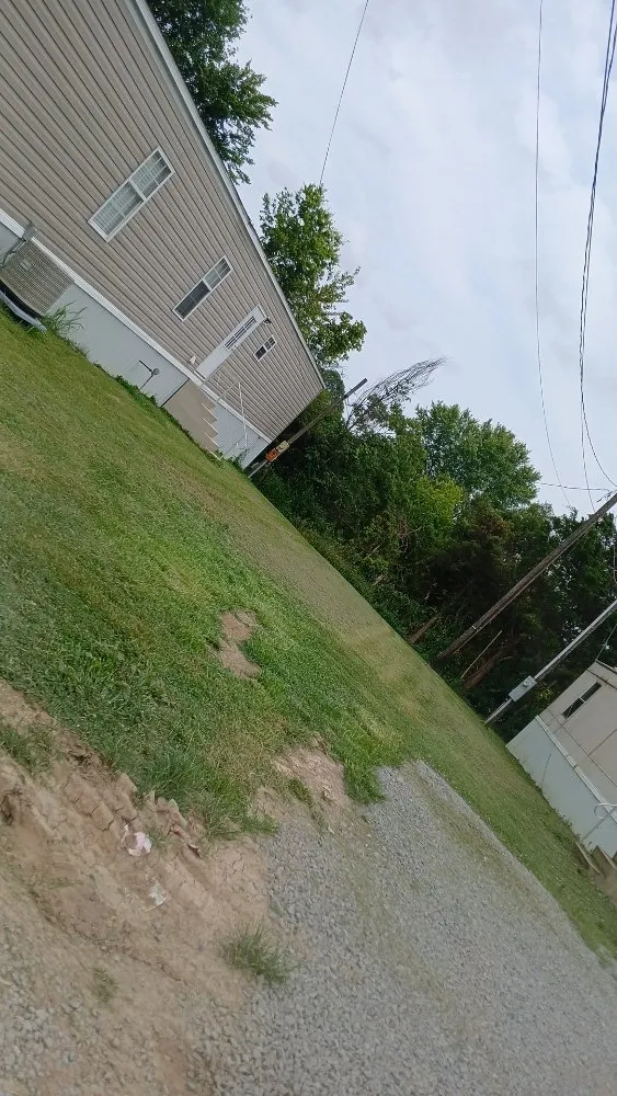 Expert residential landscaping for beautiful yards in Greenville, KY by Drippin Diamond Lanwcare and Land Services