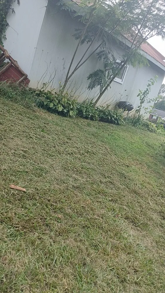 Local residential landscaping in Greenville, KY by Drippin Diamond Lanwcare and Land Services