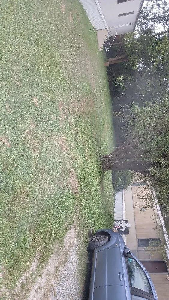 Trusted landscape design with custom design across Greenville, KY - Drippin Diamond Lanwcare and Land Services