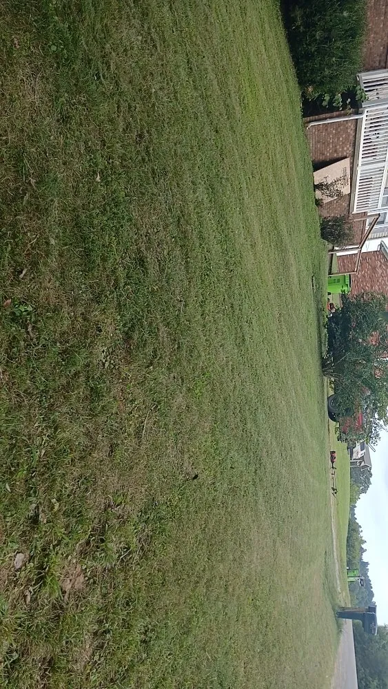 Trusted landscape installation in Greenville, KY - Drippin Diamond Lanwcare and Land Services