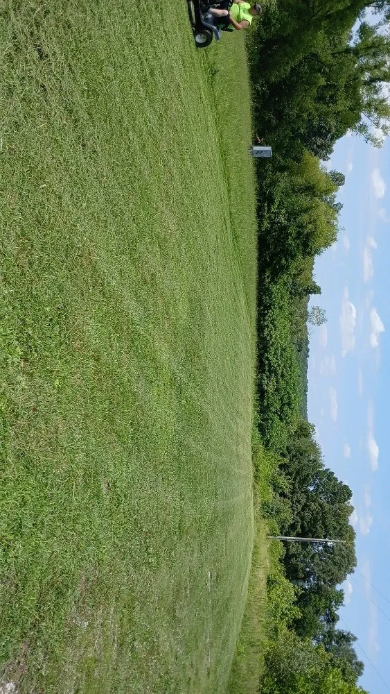 Professional landscape design in Greenville, KY - Drippin Diamond Lanwcare and Land Services