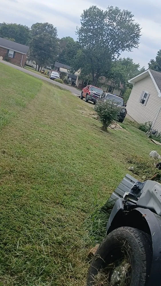 Professional garden landscaping for homes in Greenville, KY by Drippin Diamond Lanwcare and Land Services