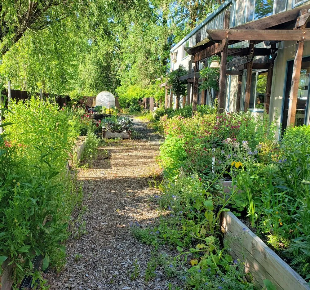 Professional lawn mowing service for homes in Willits, CA by Dripworks