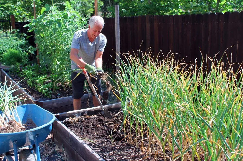 Professional residential landscaping for year-round maintenance across Willits, CA - Dripworks