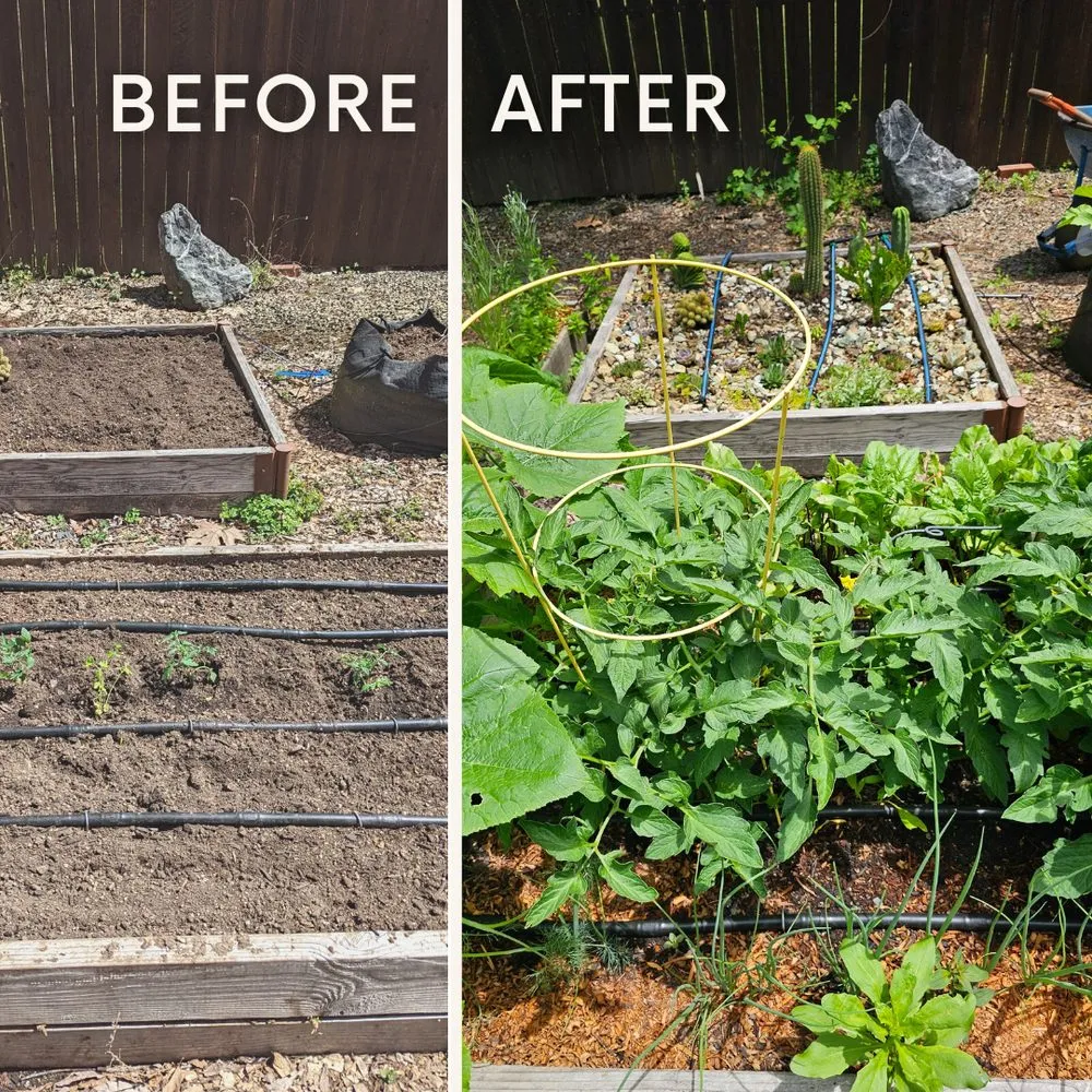 Professional residential landscaping in Willits, CA by Dripworks