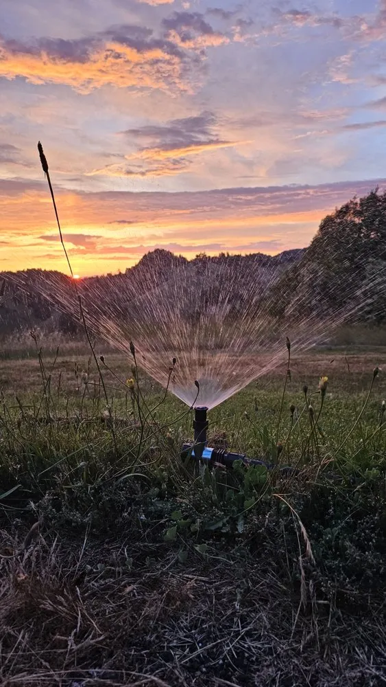 Affordable residential landscaping for outdoor upgrades across Willits, CA - Dripworks