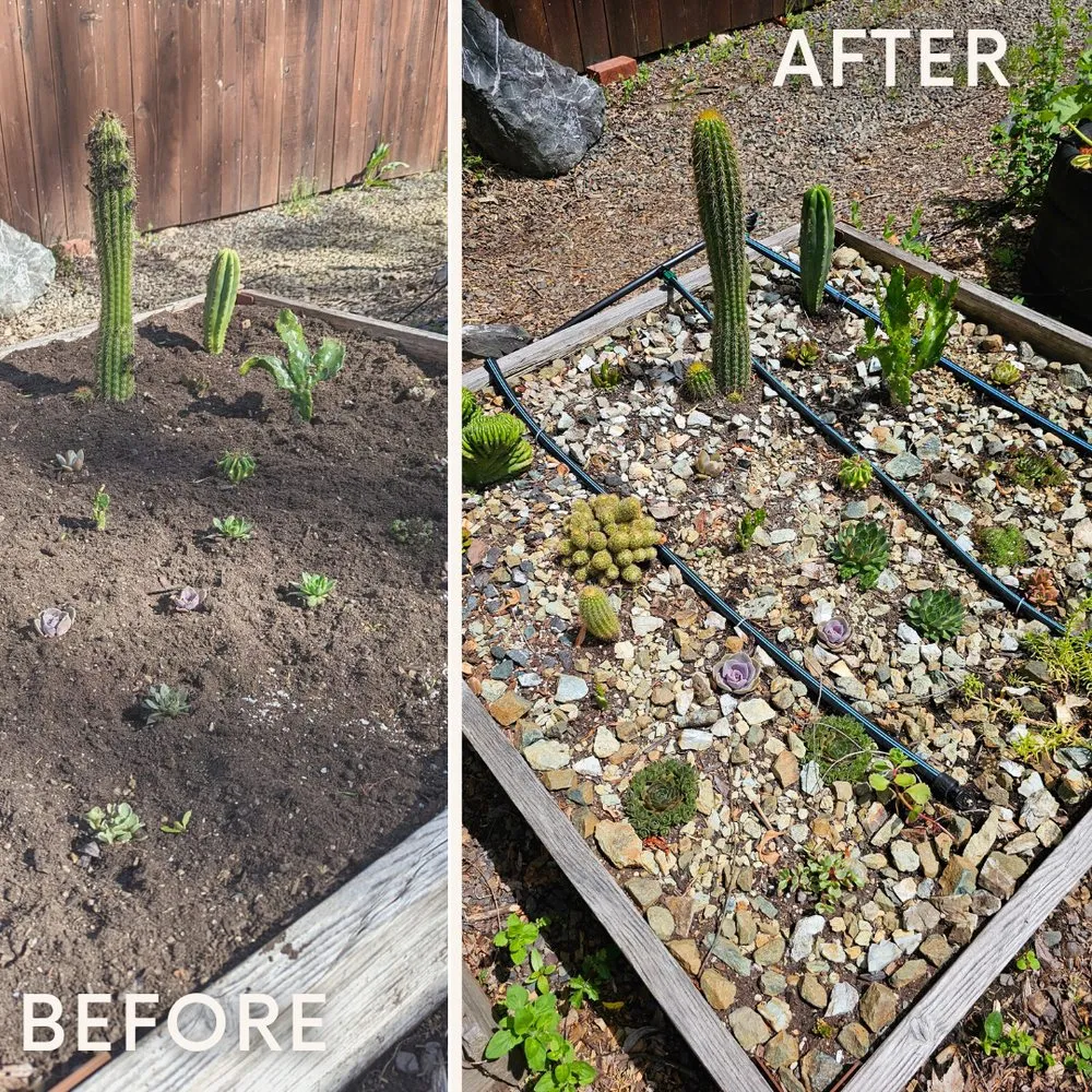 Local outdoor landscaping in Willits, CA - Dripworks