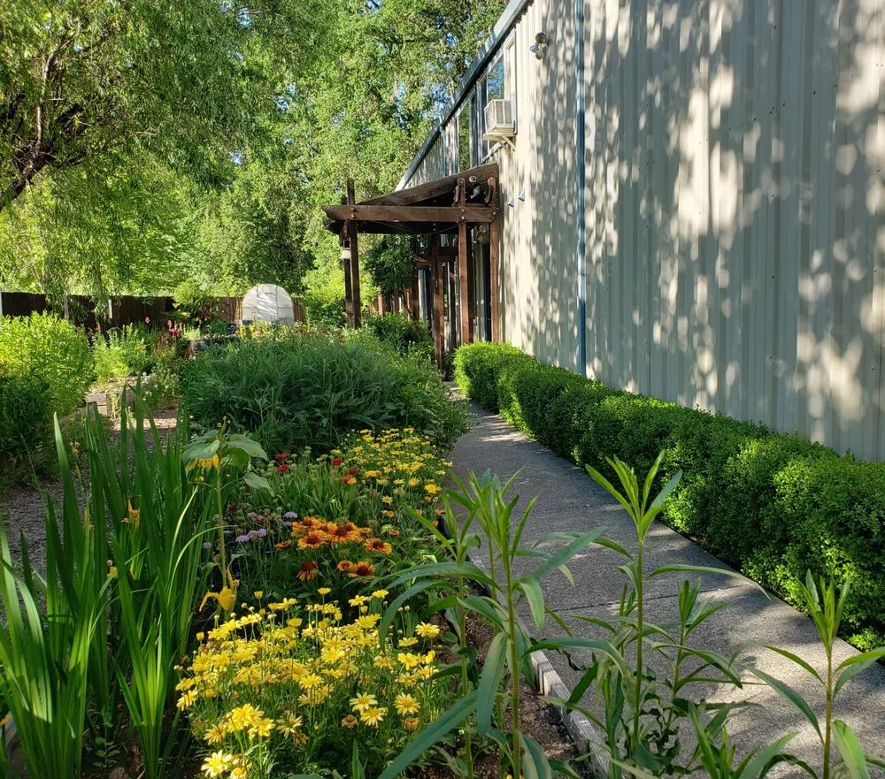 Affordable landscape installation in Willits, CA by Dripworks