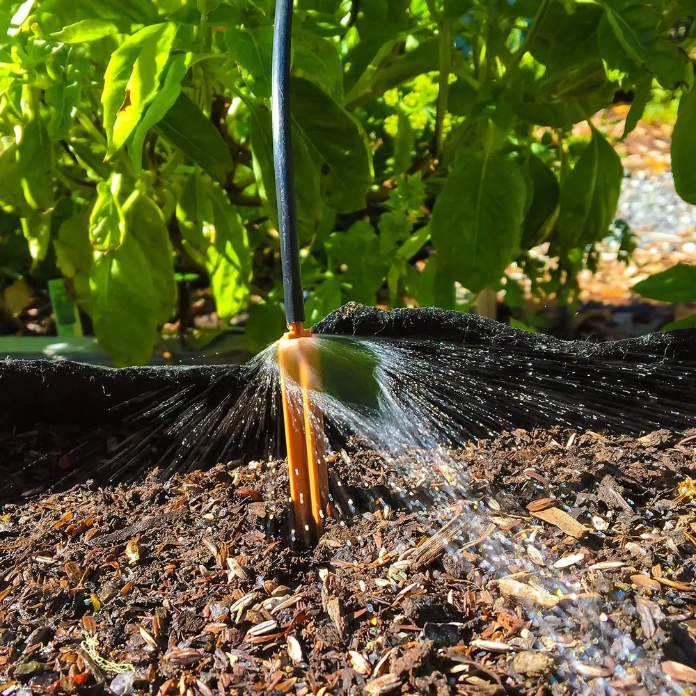 Custom landscaping services near you in Willits, CA by Dripworks