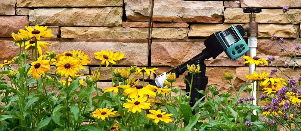 Top-rated landscaping services with custom design across Willits, CA - Dripworks