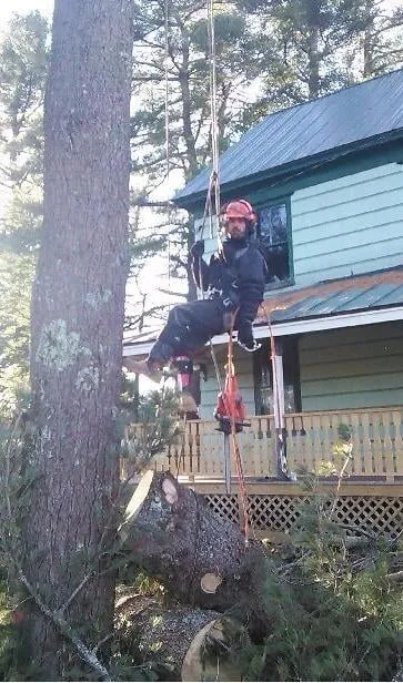 Custom landscape design in Brunswick, ME - Driscoll Tree Service