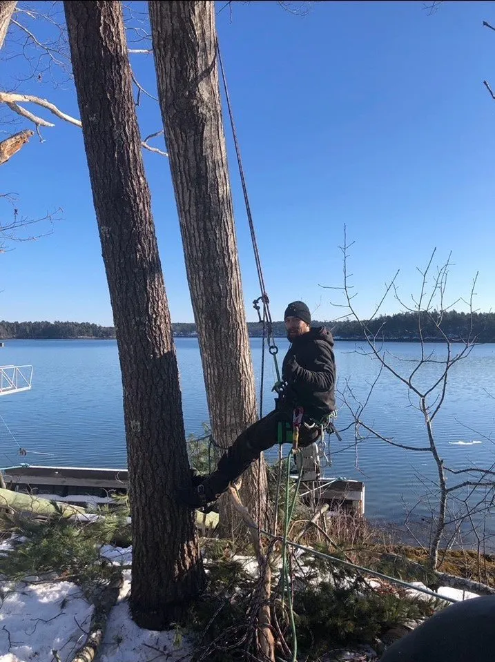 Professional landscape design in Brunswick, ME by Driscoll Tree Service