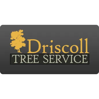 Trusted outdoor landscaping experts serving Brunswick, ME - Driscoll Tree Service