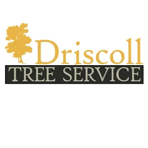 Top-rated yard cleanup service in Brunswick, ME - Driscoll Tree Service
