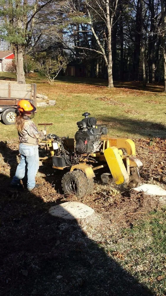 Trusted residential landscaping in Brunswick, ME by Driscoll Tree Service