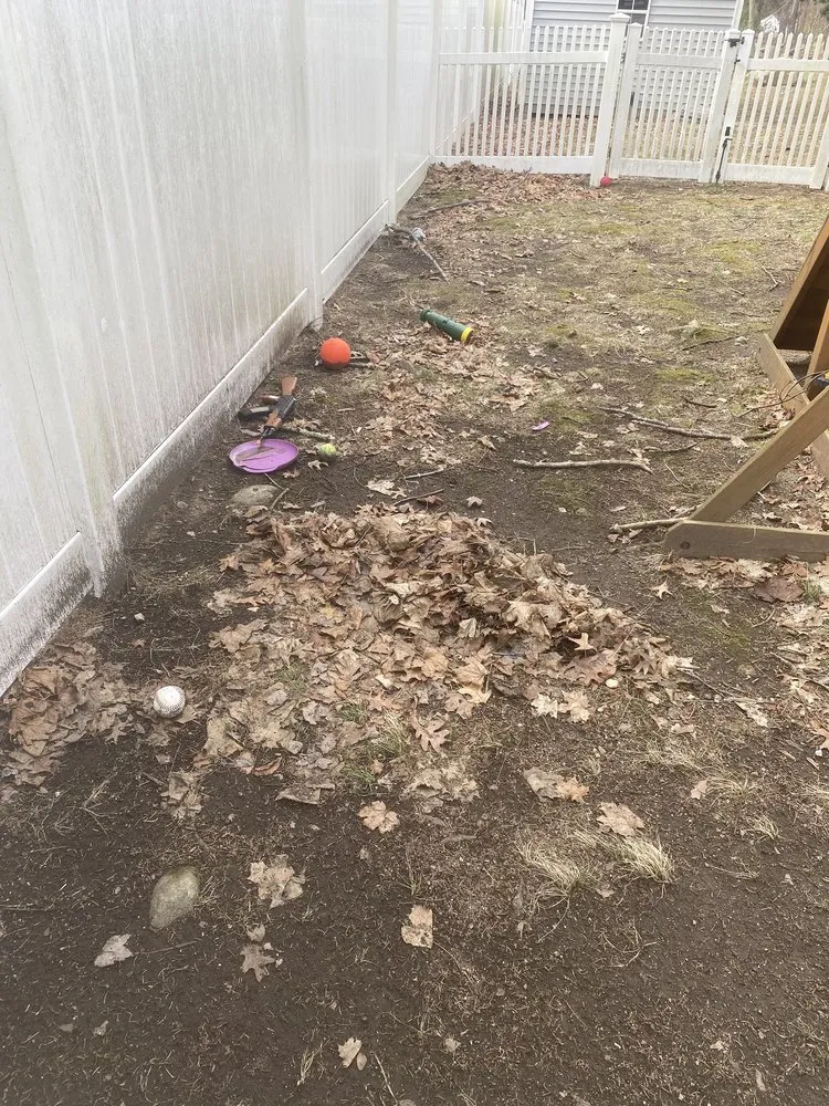 Local yard cleanup service experts serving Norfolk, MA - Driven Landscapes