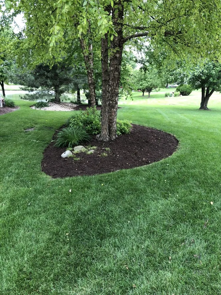 Custom landscaping services for beautiful yards across Plainfield, IL - Driven Landscapes