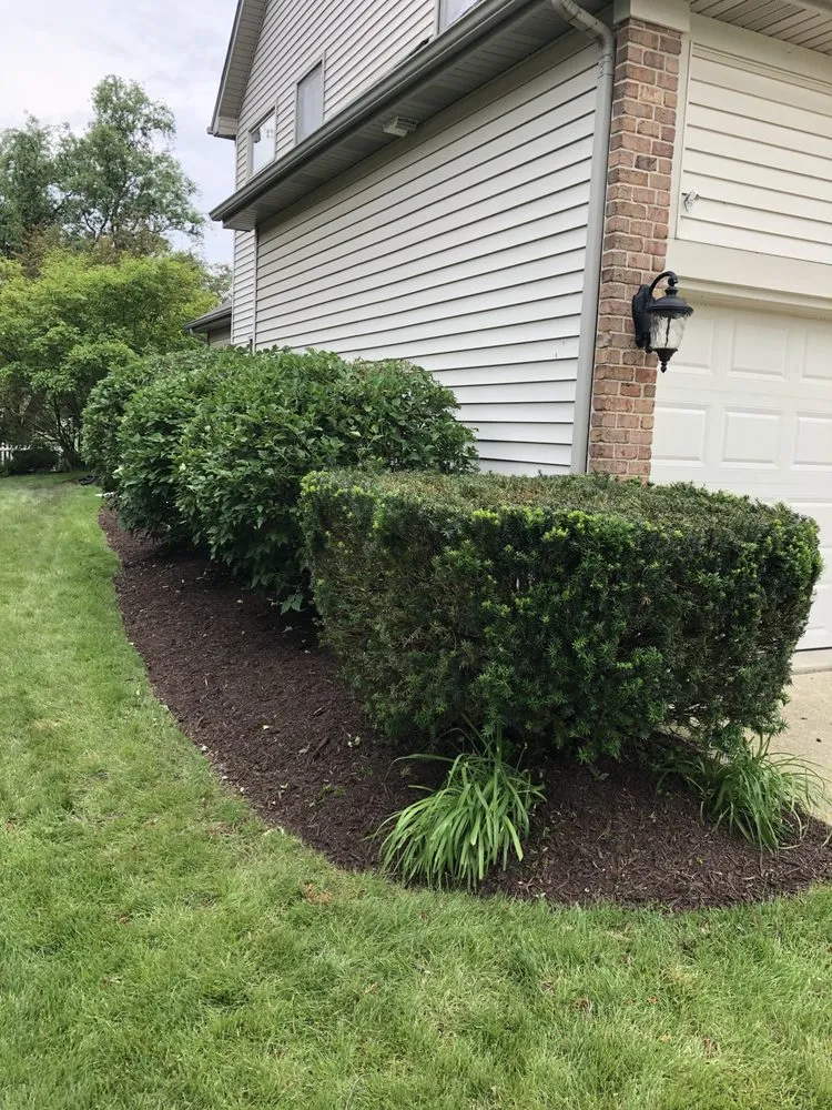 Affordable landscape design for outdoor upgrades across Plainfield, IL - Driven Landscapes