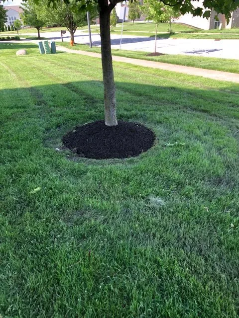 Trusted residential landscaping experts serving Plainfield, IL - Driven Landscapes