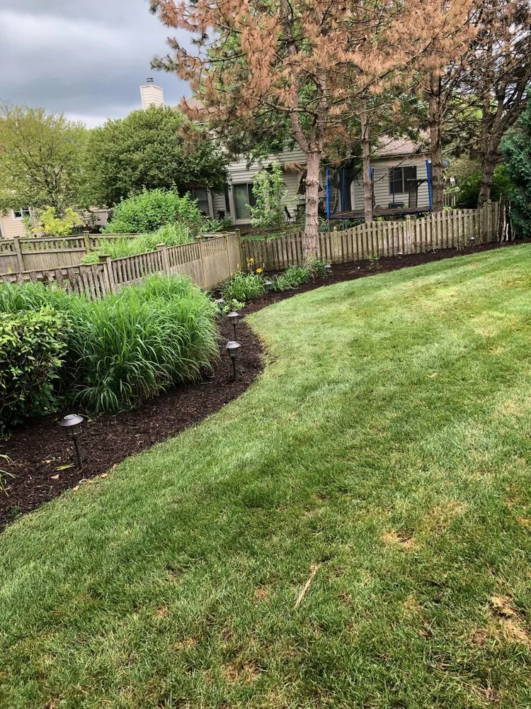 Reliable yard cleanup service in Plainfield, IL by Driven Landscapes