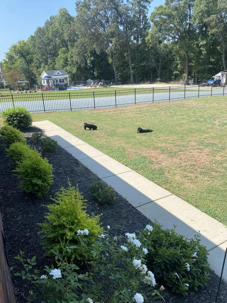 Local residential landscaping for residential properties in Monroe, NC by Driven Lawn and Tractor