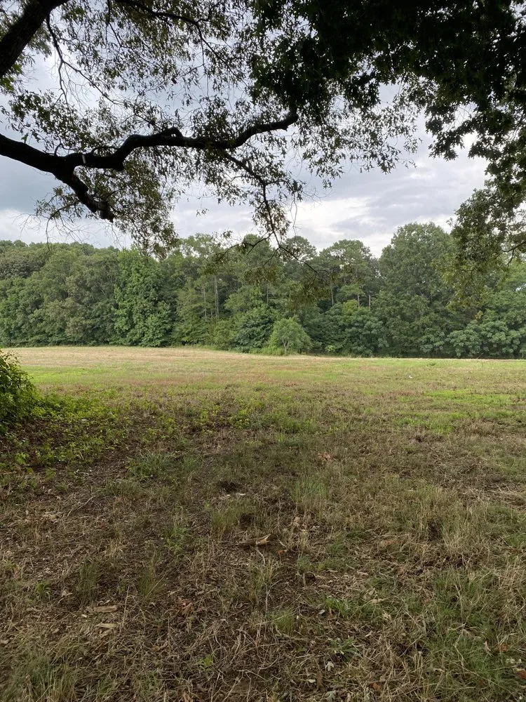 Professional lawn mowing service for beautiful yards in Monroe, NC by Driven Lawn and Tractor