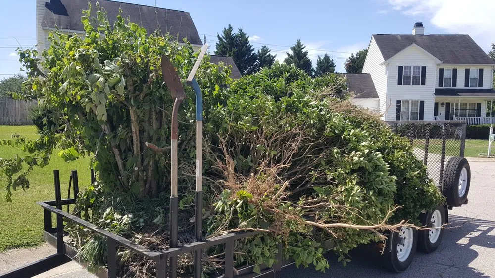 Reliable landscaping services for outdoor upgrades across Clayton, NC - Driver's Landscaping